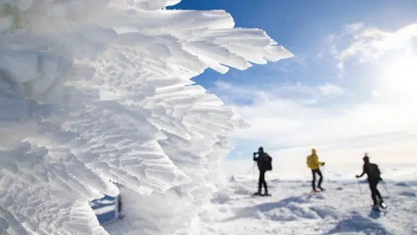 a group of people walking in snow